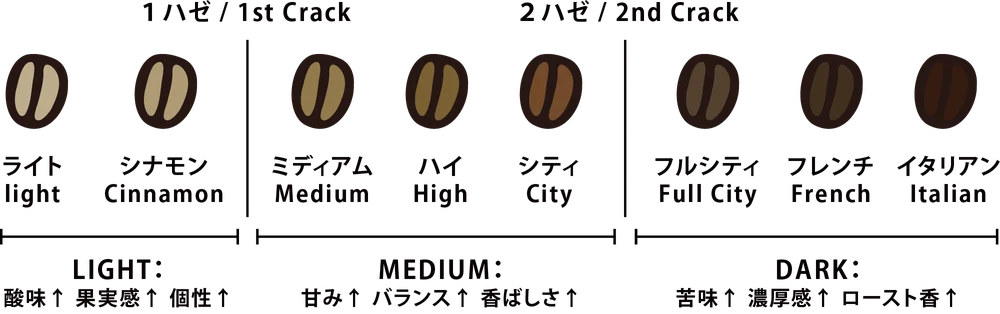 STEP 3 色・香り・音を感じる：焙煎度の図。1ハゼ付近のライト・シナモン（LIGHT：酸味・果実感・個性）、ミディアム・ハイ・シティ（MEDIUM：甘み・バランス・香ばしさ）、2ハゼ以降のフルシティ・フレンチ・イタリアン（DARK：苦味・濃厚感・ロースト香）